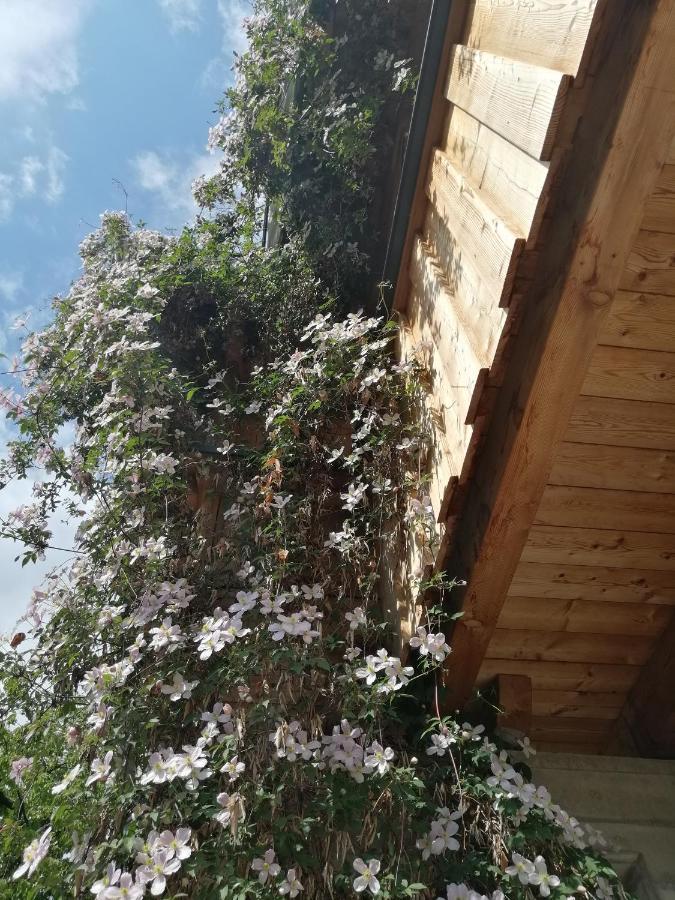 Appartement Seppi Innsbruck Eksteriør bilde